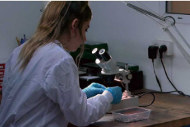 罗腾博格医疗科技（苏州）有限公司